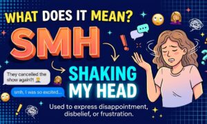 SMH Meaning