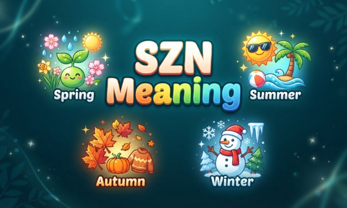 SZN Meaning in Text