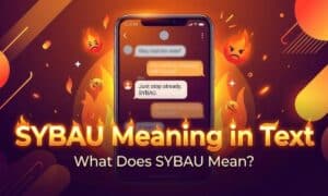 SYBAU Meaning in Text