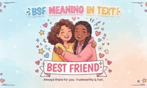 BSF Meaning in Text