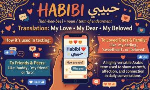 Habibi Meaning in Text